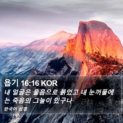 욥기 16:16 KOR Bible Verse Image