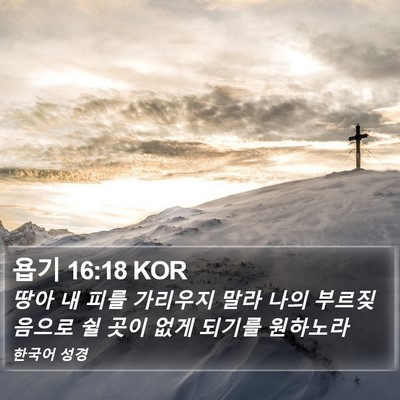 욥기 16:18 KOR Bible Verse Image