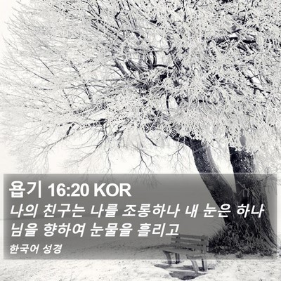 욥기 16:20 KOR Bible Verse Image