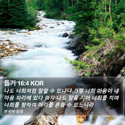 욥기 16:4 KOR Bible Verse Image