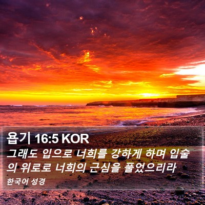 욥기 16:5 KOR Bible Verse Image