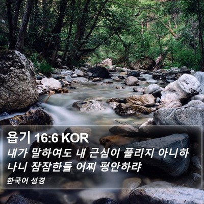 욥기 16:6 KOR Bible Verse Image