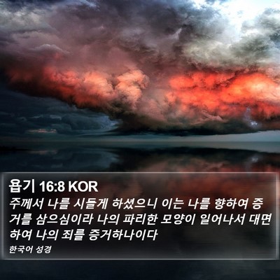 욥기 16:8 KOR Bible Verse Image
