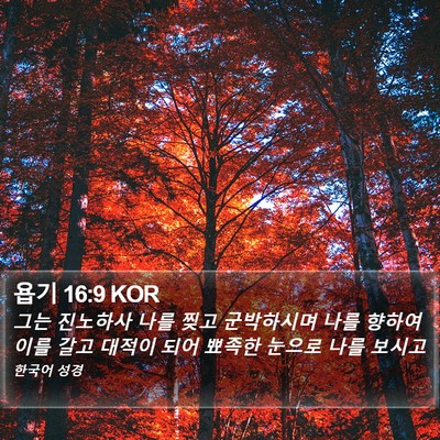 욥기 16:9 KOR Bible Verse Image