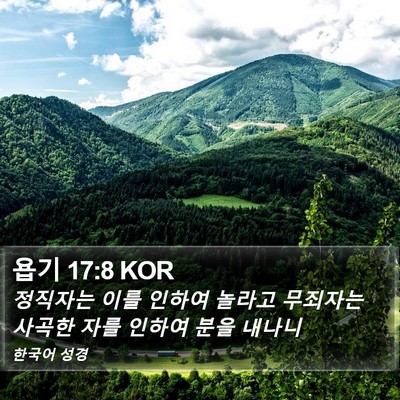 욥기 17:8 KOR Bible Verse Image