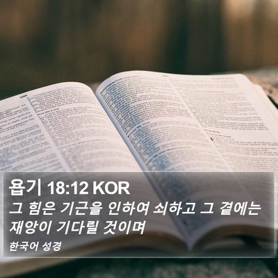 욥기 18:12 KOR Bible Verse Image