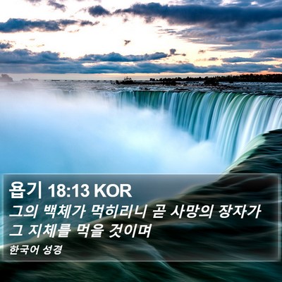 욥기 18:13 KOR Bible Verse Image