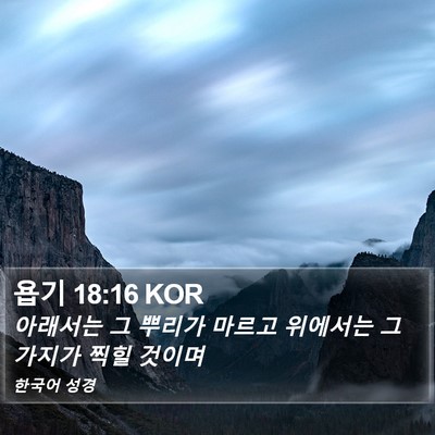욥기 18:16 KOR Bible Verse Image