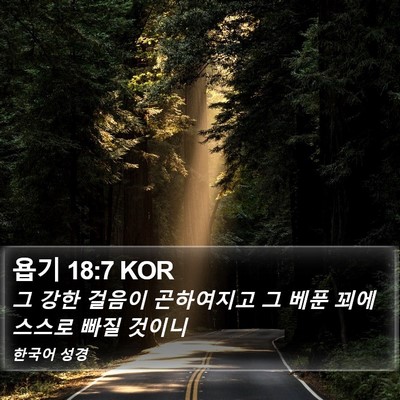 욥기 18:7 KOR Bible Verse Image