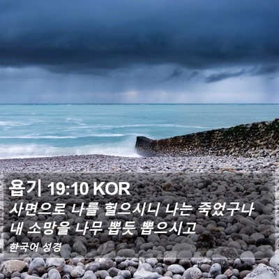 욥기 19:10 KOR Bible Verse Image