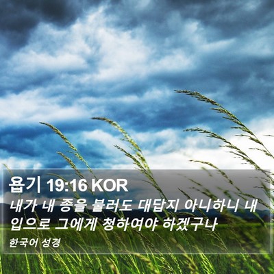 욥기 19:16 KOR Bible Verse Image