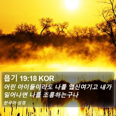 욥기 19:18 KOR Bible Verse Image