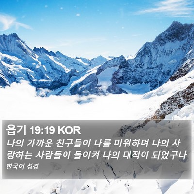 욥기 19:19 KOR Bible Verse Image