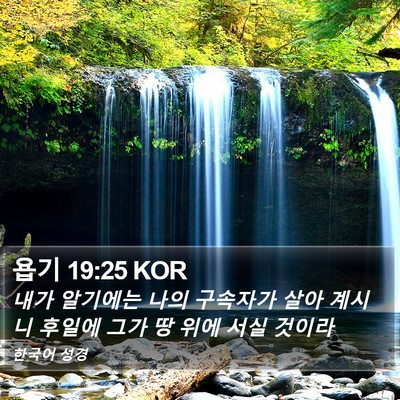 욥기 19:25 KOR Bible Verse Image
