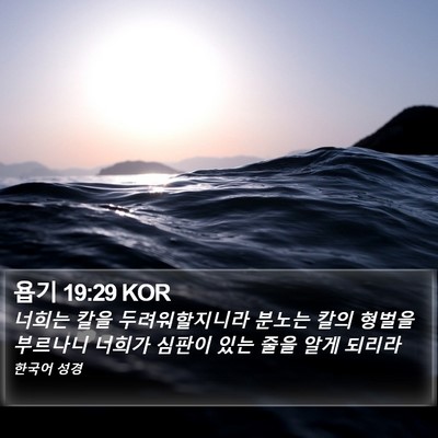 욥기 19:29 KOR Bible Verse Image