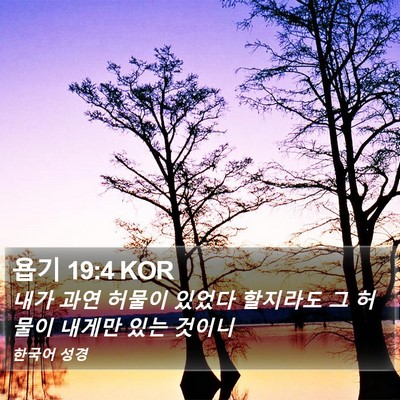 욥기 19:4 KOR Bible Verse Image
