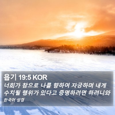 욥기 19:5 KOR Bible Verse Image