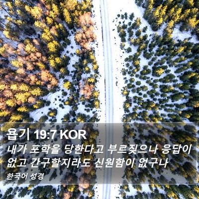 욥기 19:7 KOR Bible Verse Image