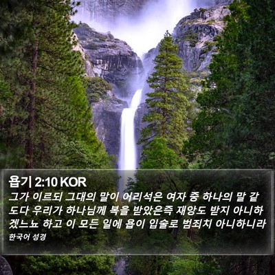 욥기 2:10 KOR Bible Verse Image