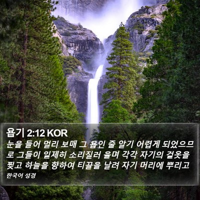 욥기 2:12 KOR Bible Verse Image