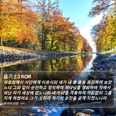 욥기 2:3 KOR Bible Verse Image