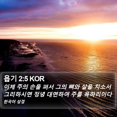 욥기 2:5 KOR Bible Verse Image