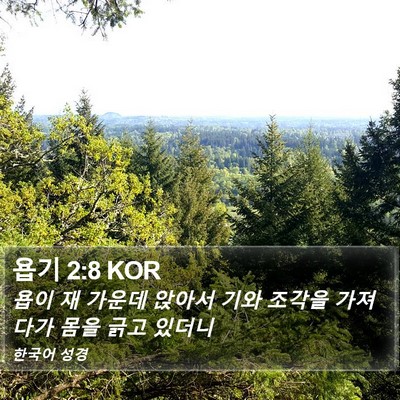 욥기 2:8 KOR Bible Verse Image