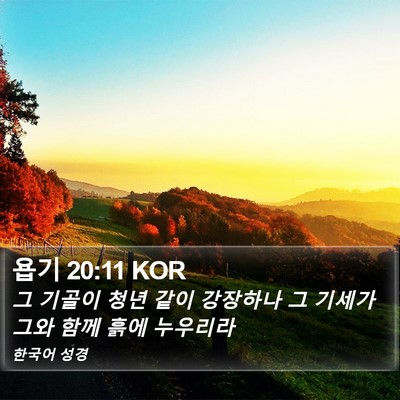 욥기 20:11 KOR Bible Verse Image