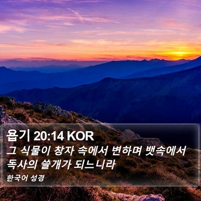 욥기 20:14 KOR Bible Verse Image