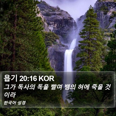 욥기 20:16 KOR Bible Verse Image