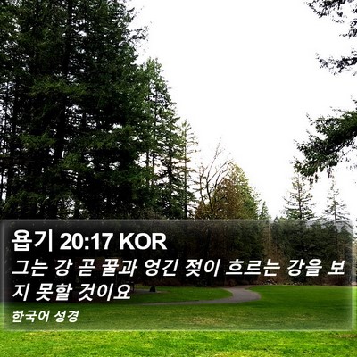 욥기 20:17 KOR Bible Verse Image