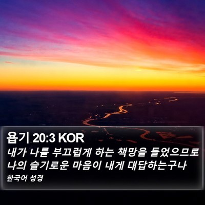 욥기 20:3 KOR Bible Verse Image