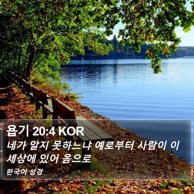 욥기 20:4 KOR Bible Verse Image