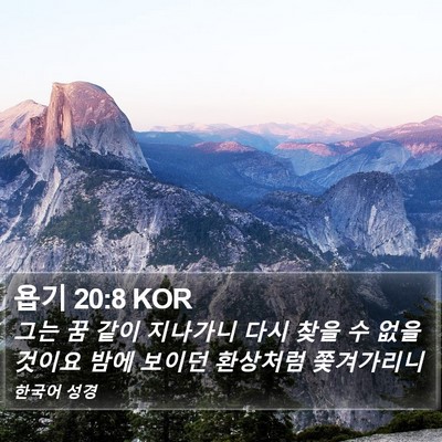 욥기 20:8 KOR Bible Verse Image