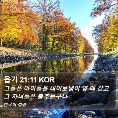 욥기 21:11 KOR Bible Verse Image