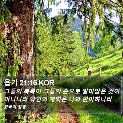 욥기 21:16 KOR Bible Verse Image