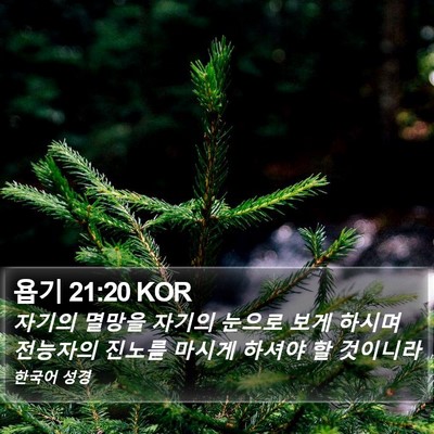 욥기 21:20 KOR Bible Verse Image