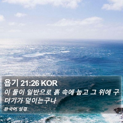 욥기 21:26 KOR Bible Verse Image