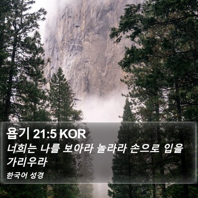 욥기 21:5 KOR Bible Verse Image
