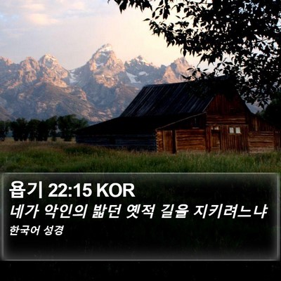 욥기 22:15 KOR Bible Verse Image