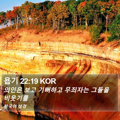 욥기 22:19 KOR Bible Verse Image