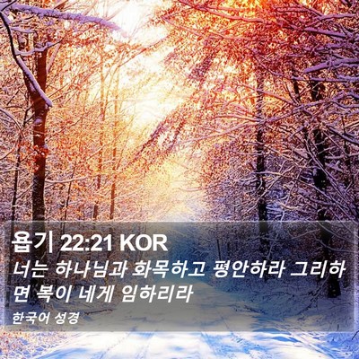 욥기 22:21 KOR Bible Verse Image