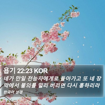 욥기 22:23 KOR Bible Verse Image