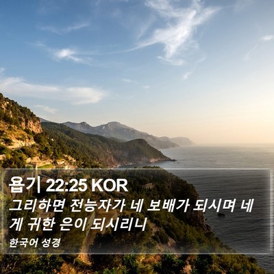 욥기 22:25 KOR Bible Verse Image