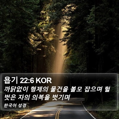 욥기 22:6 KOR Bible Verse Image