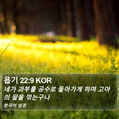 욥기 22:9 KOR Bible Verse Image
