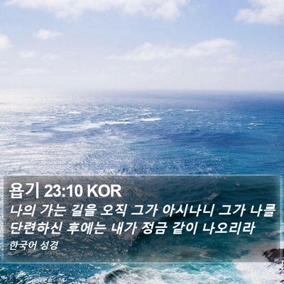 욥기 23:10 KOR Bible Verse Image