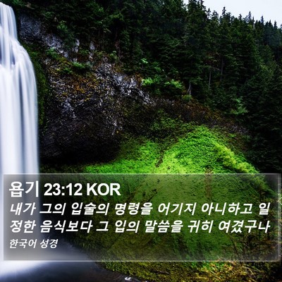 욥기 23:12 KOR Bible Verse Image