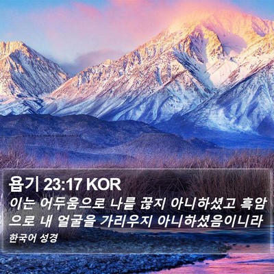 욥기 23:17 KOR Bible Verse Image