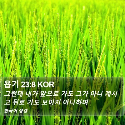 욥기 23:8 KOR Bible Verse Image